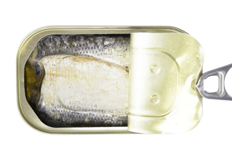 Open can with real sardines