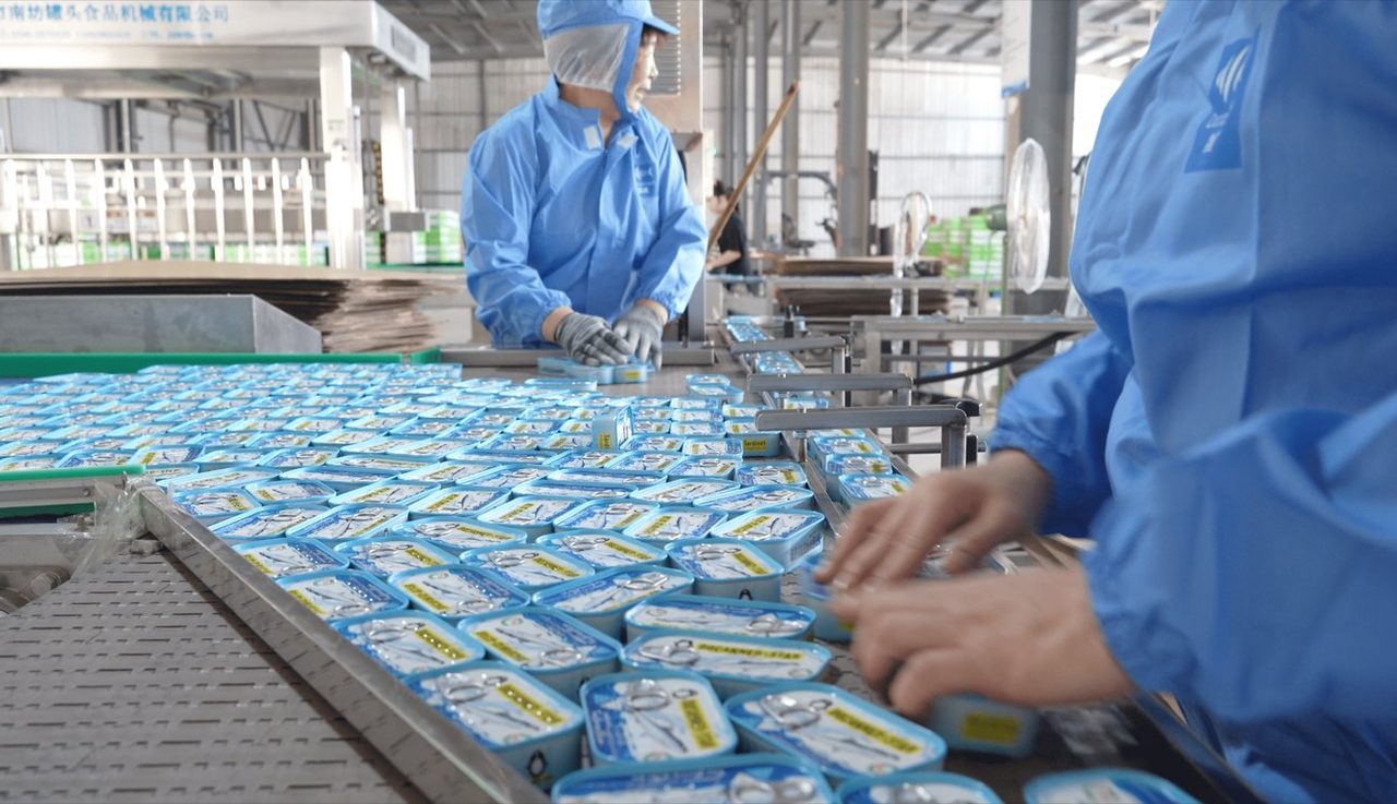 Workers packing DocannedStar sardine tins on the line