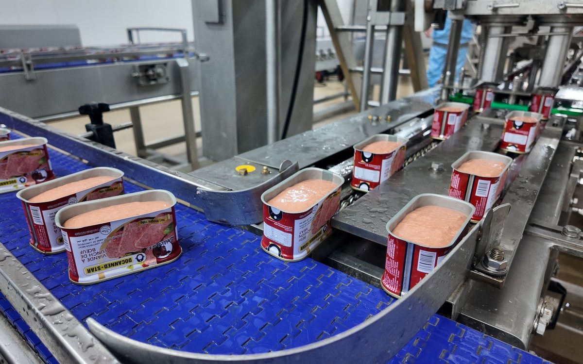 Fabricante de luncheon meat halal en China: guía B2B de compra y marca propia