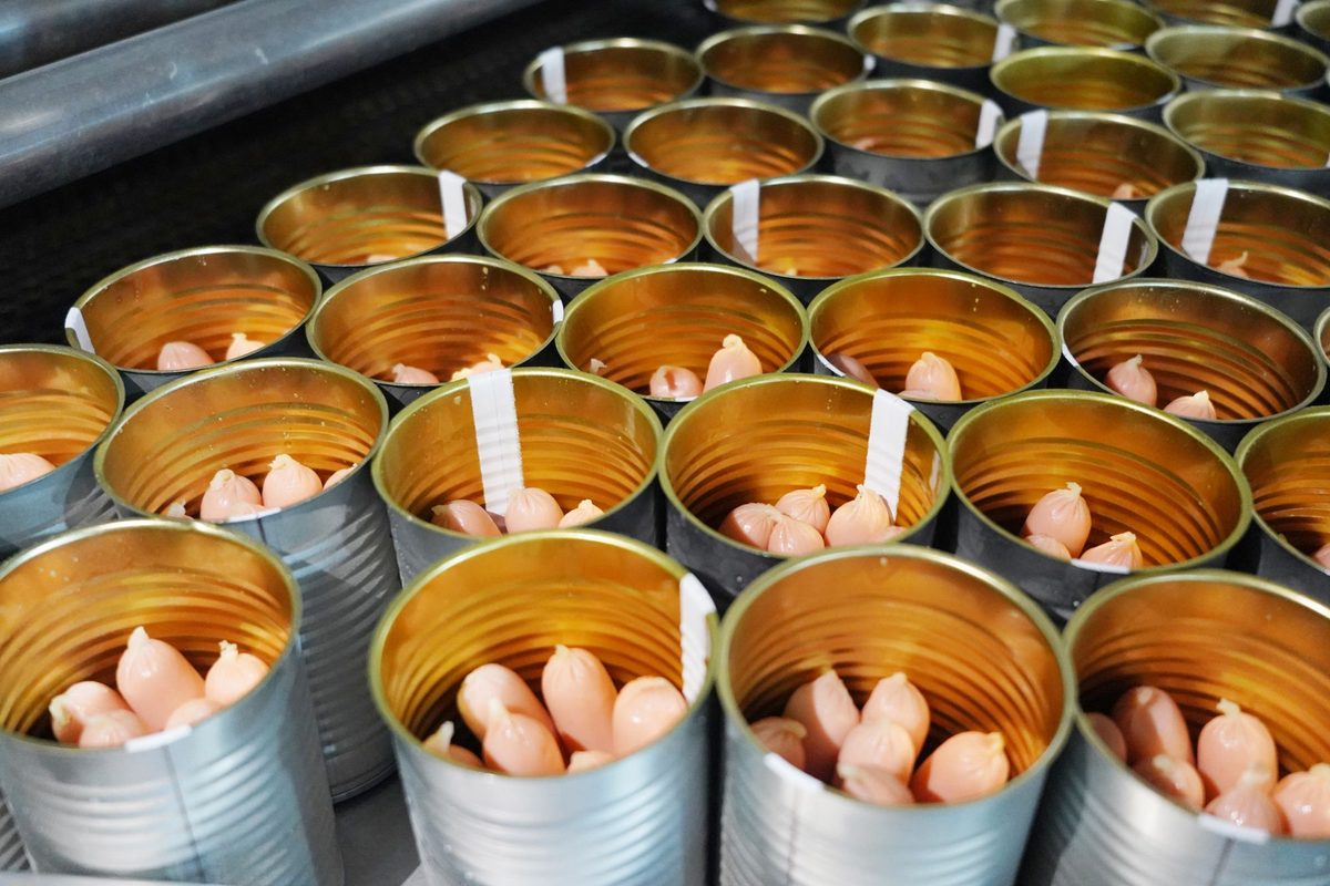 Canned chicken sausage links filled into cans before seaming