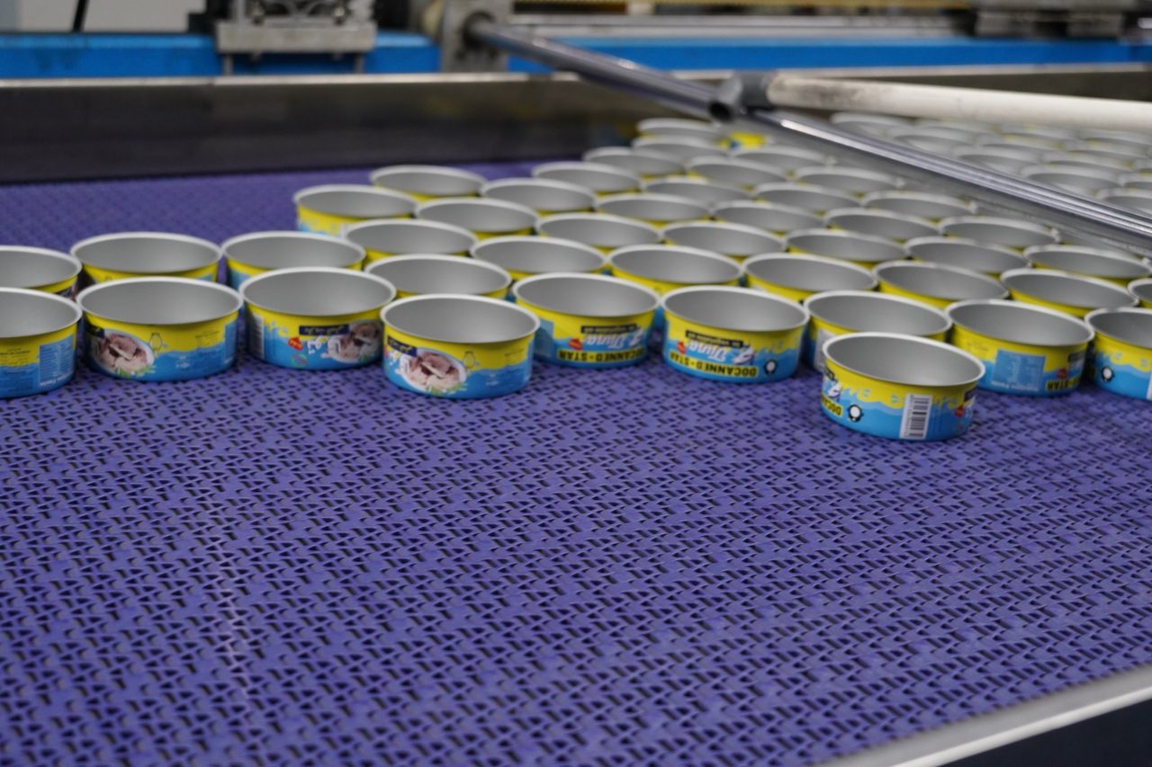 Empty lithographic printed can bodies on the conveyor in Docanned&rsquo;s can-making plant