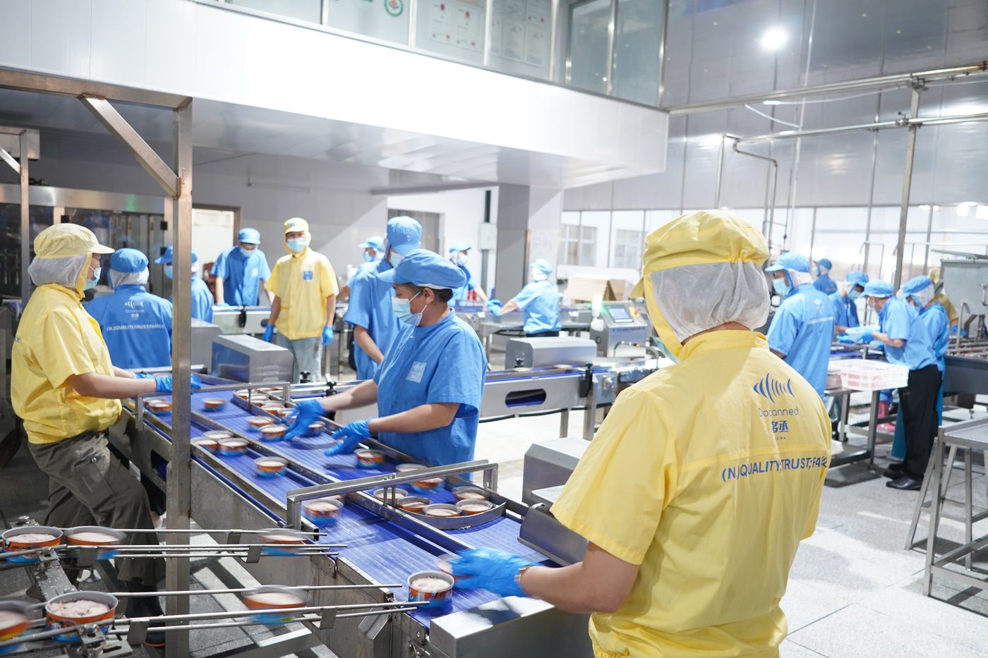 Inside the Docanned tuna cannery, workers on the filling line