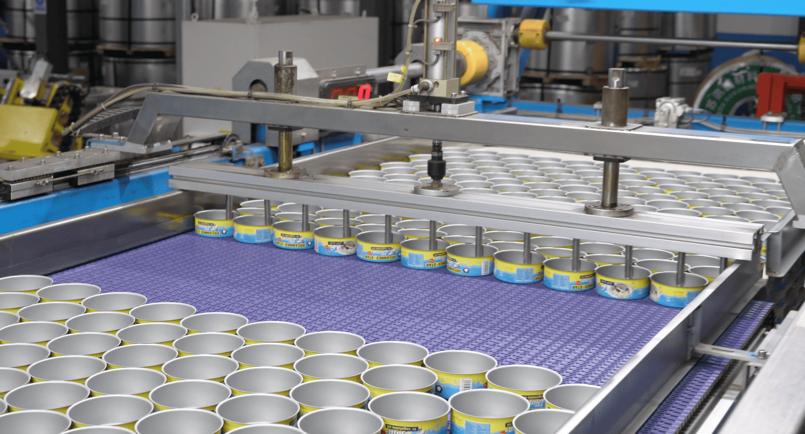 Canning line