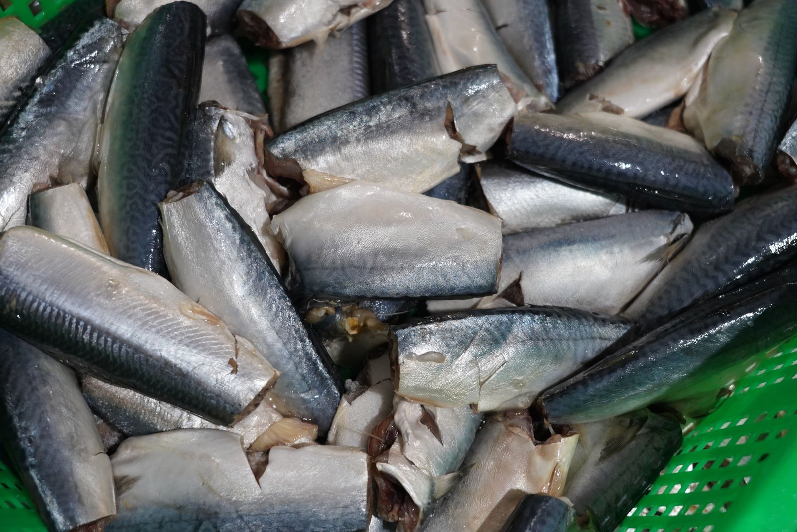 Fresh sardines
