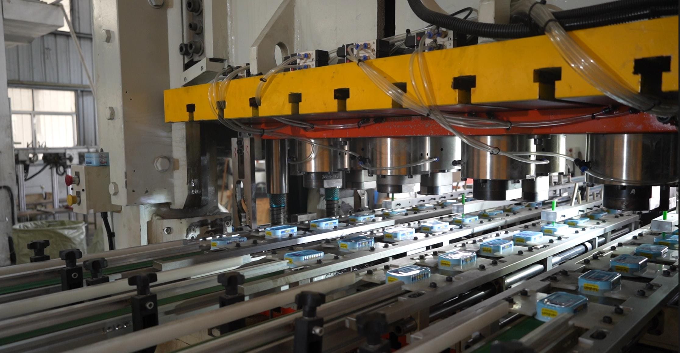 Sardine canning line