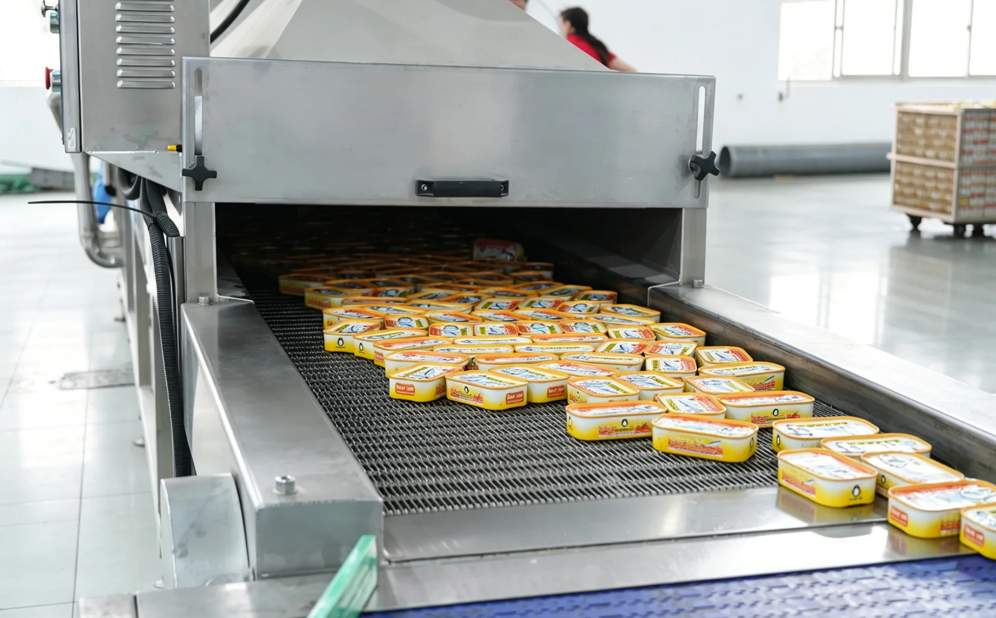 Canned fish
