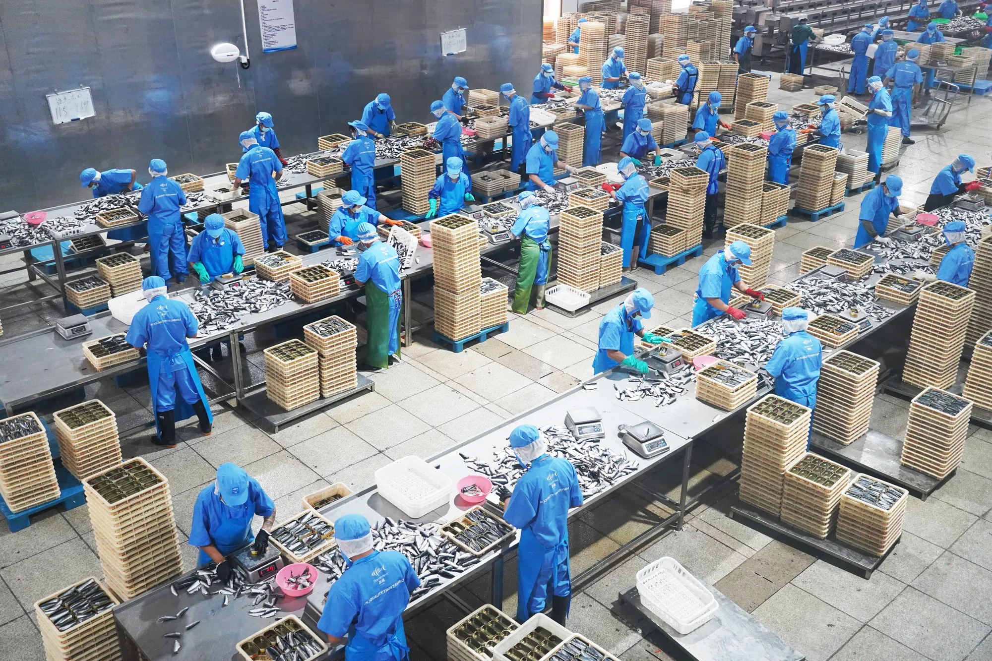 Cold Storage & Warehouses