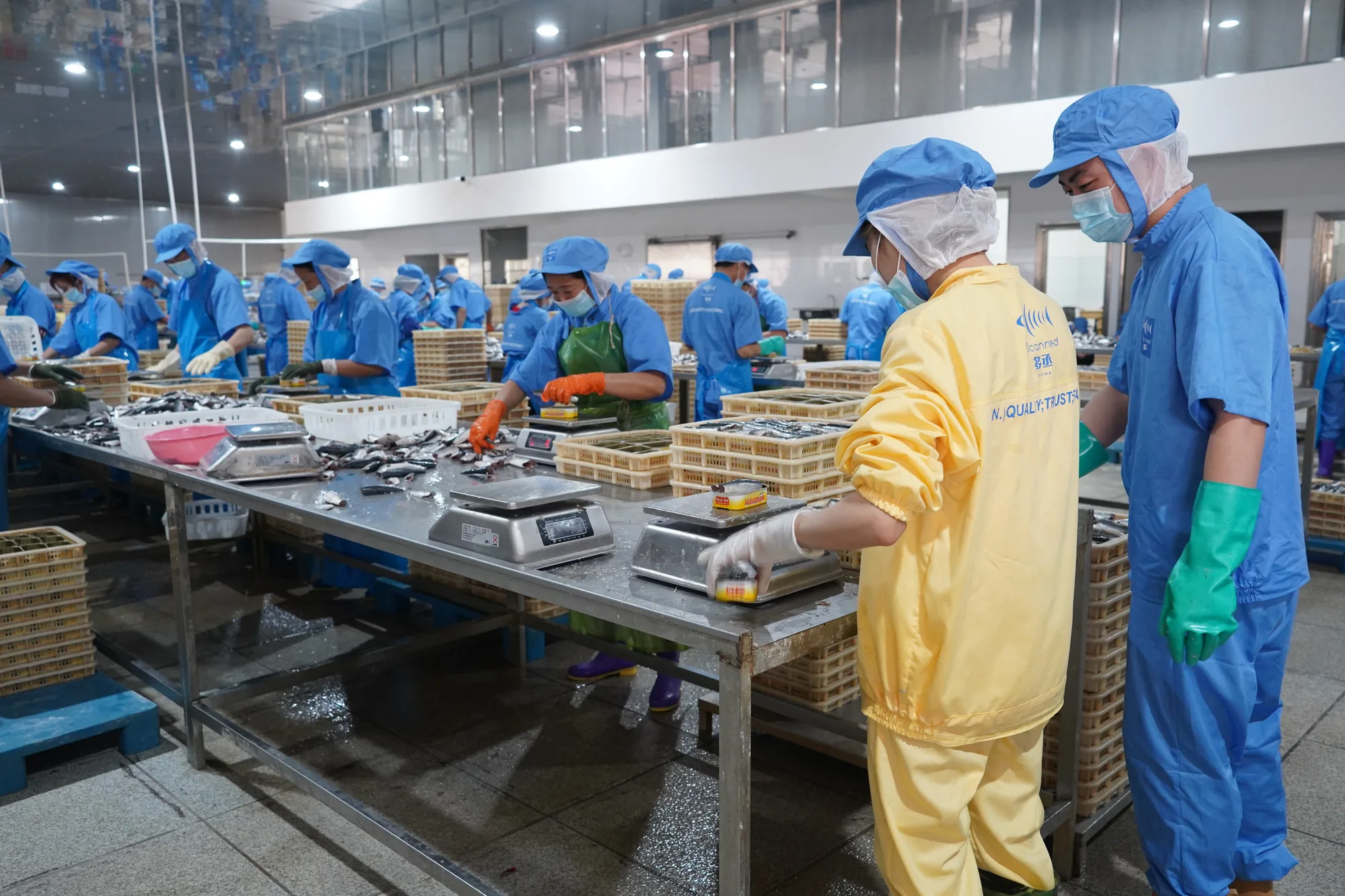 In-line weighing and inspection
