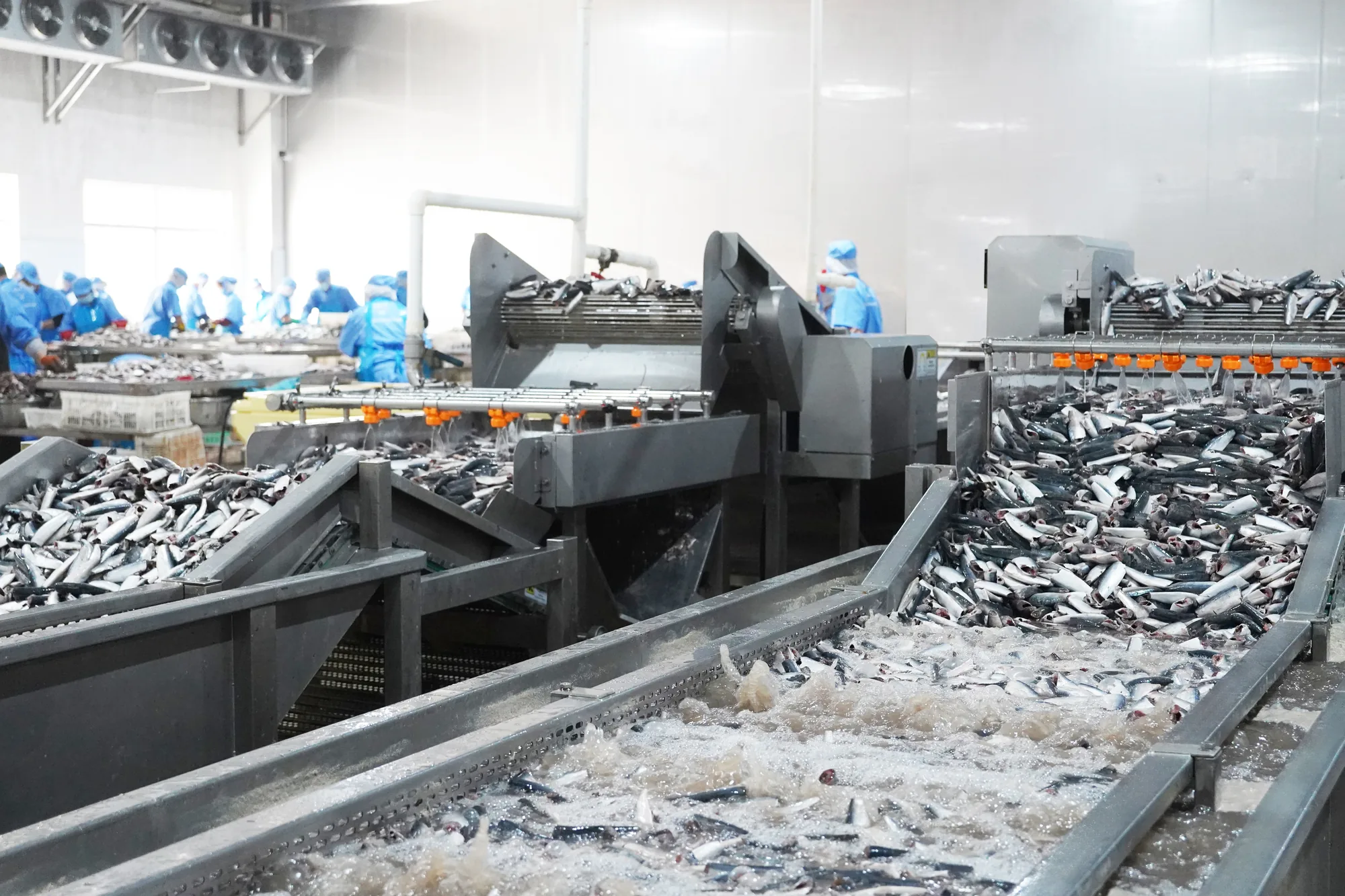Ocean & Raw Materials