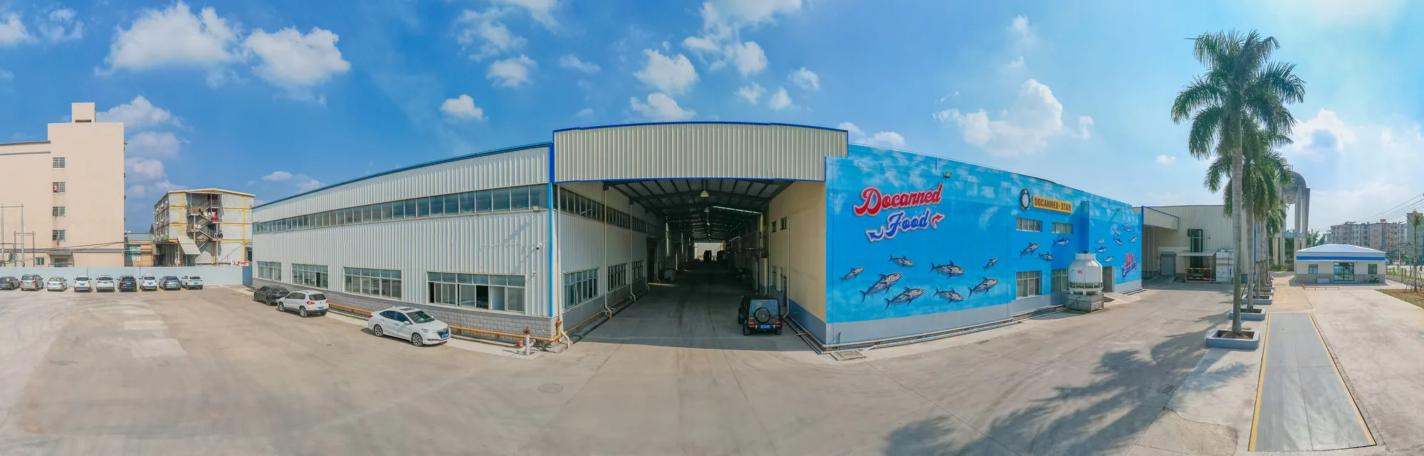 Fujian Docanned factory
