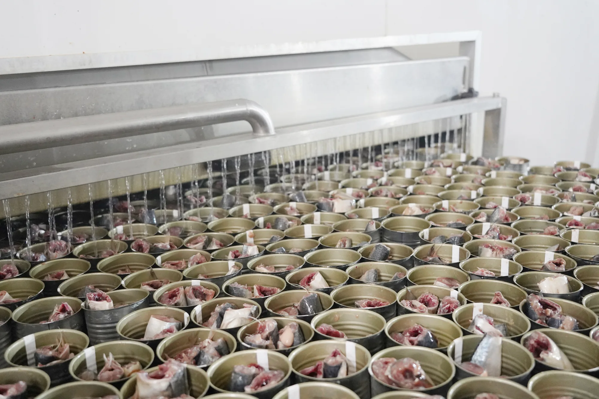 Cans being filled